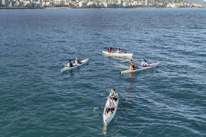 Dolphin kayaking tours Cape Town marine excursion