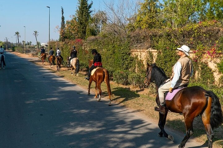 Horseback Ride in Marrakech Palmeraie with Mint Tea