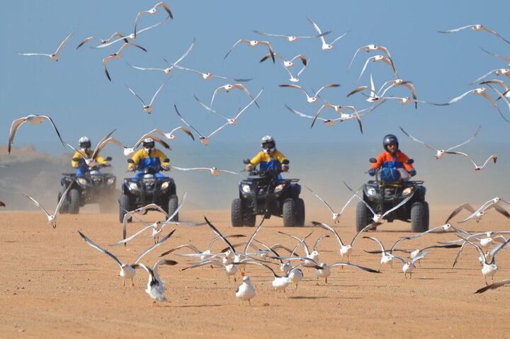 Agadir Quad Bike Desert and Beach Tour