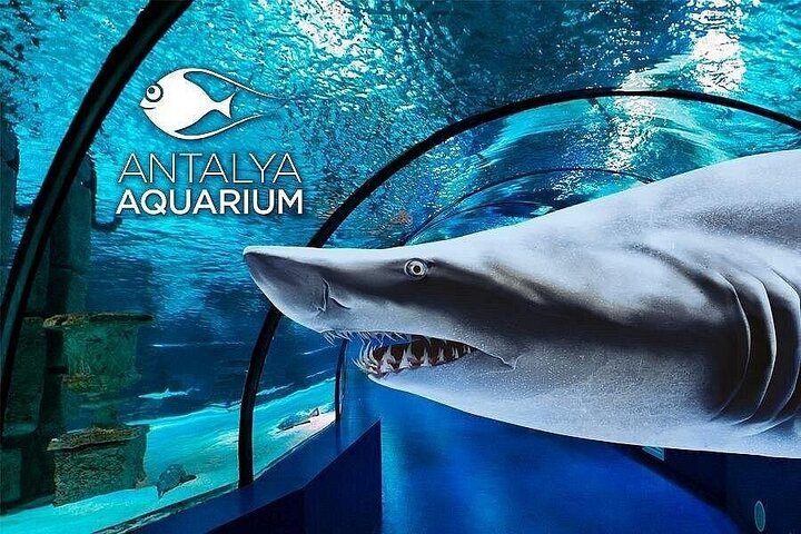 Alanya Aquarium and Fun Park Tour All Inclusive with Hotel Pickup