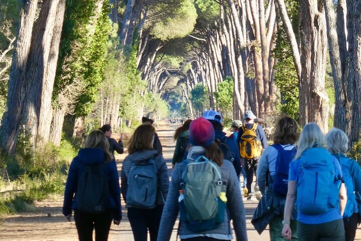 Hike in the San Rossore Park