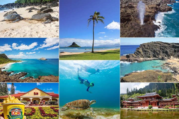 Oahu Island Tour: 13 ppl Max, Snorkel at Turtle Beach + Lunch