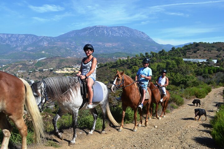 Alanya: Horseback Riding in Taurus: Forest Sea Views 2.5 Hours