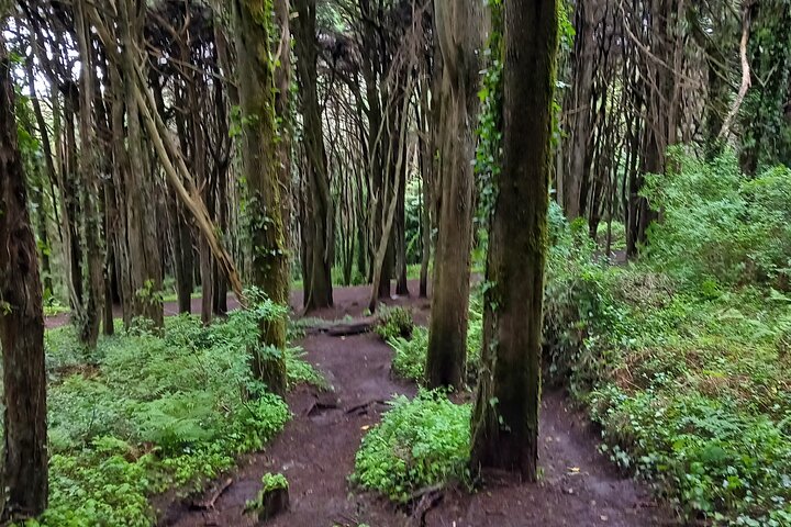 Private Hiking in Natural Park and Traditional Grilled Lunch