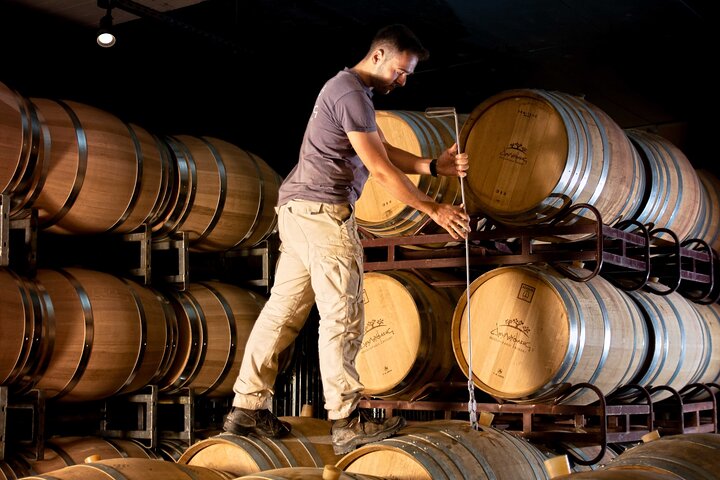 Winery tour & wine tasting at Douloufakis winery