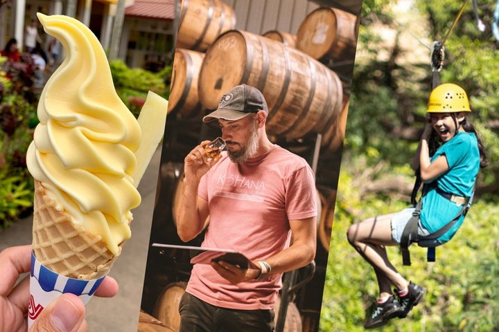 Dole Plantation, Ko Hana Rum and 3 Zipline Adventure Tour