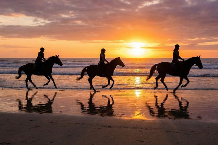 Horse Riding in Agadir on the Beach – Sunset Guided Tour