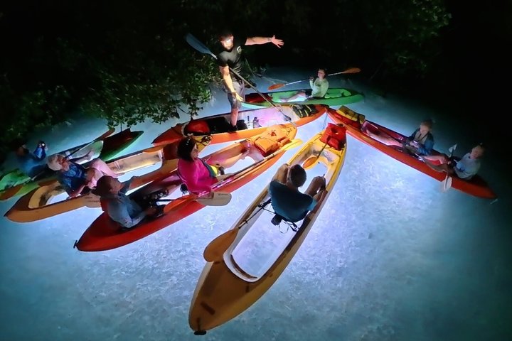 Glow And Discover, Guided Night Kayak Eco Tour in Key West