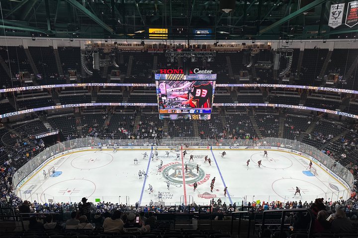 Anaheim Ducks Ice Hockey Game at Honda Center