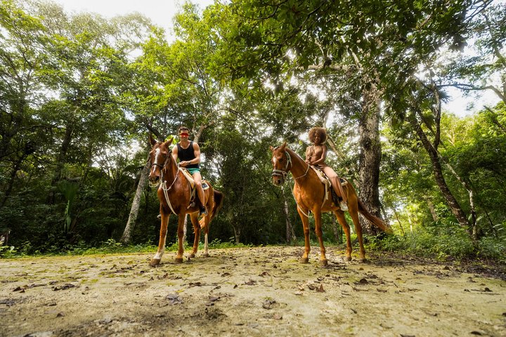 Extreme Horses Adventure with ATV, Ziplines & Cenote