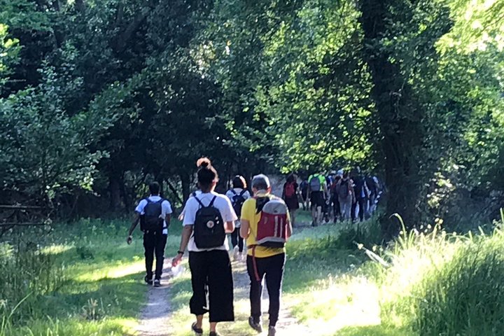 Guided Nature Walk in San Rossore Natural Park