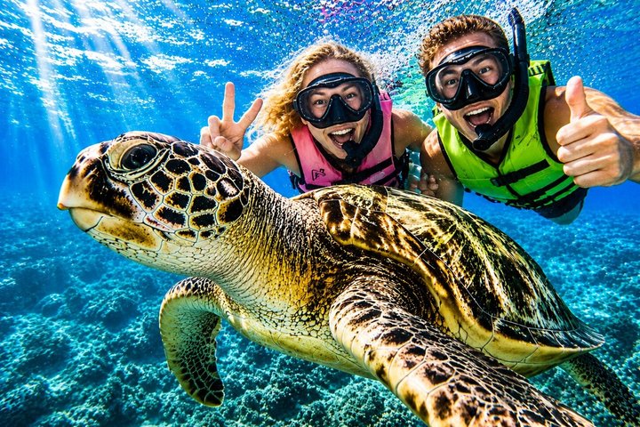 Waikiki Turtle Snorkeling Tour with Free Pickup