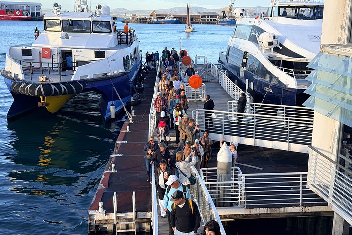Robben Island Tour with Pre Booked Tickets and Transfers
