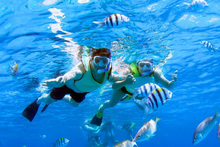 3 Zipline Adventure and 3.5 hour Afternoon Snorkel Cruise