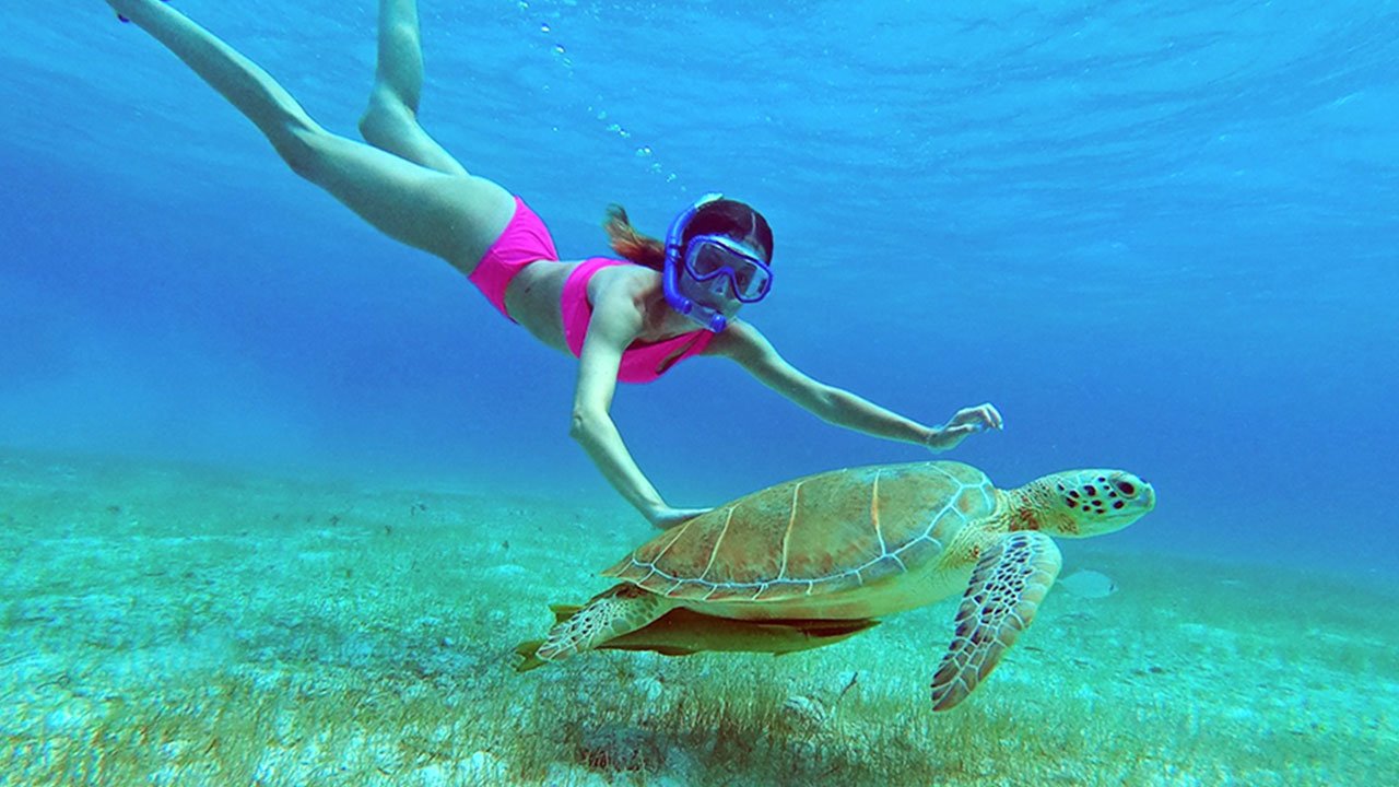 Private Beach Day - Rose Island & Turtle Island - ALL INCLUSIVE - 33ft Boat (BC&SN)