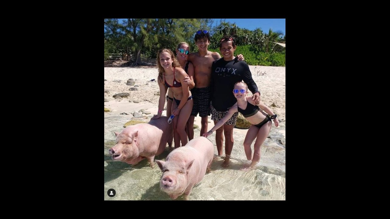 Private Yacht Charter Swimming Pigs & Turtle Island Adventure - ALL INCLUSIVE (YC)