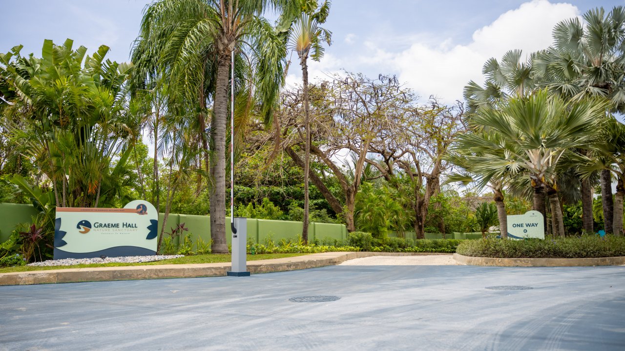 Nature Trail Experience - Local and & Caricom