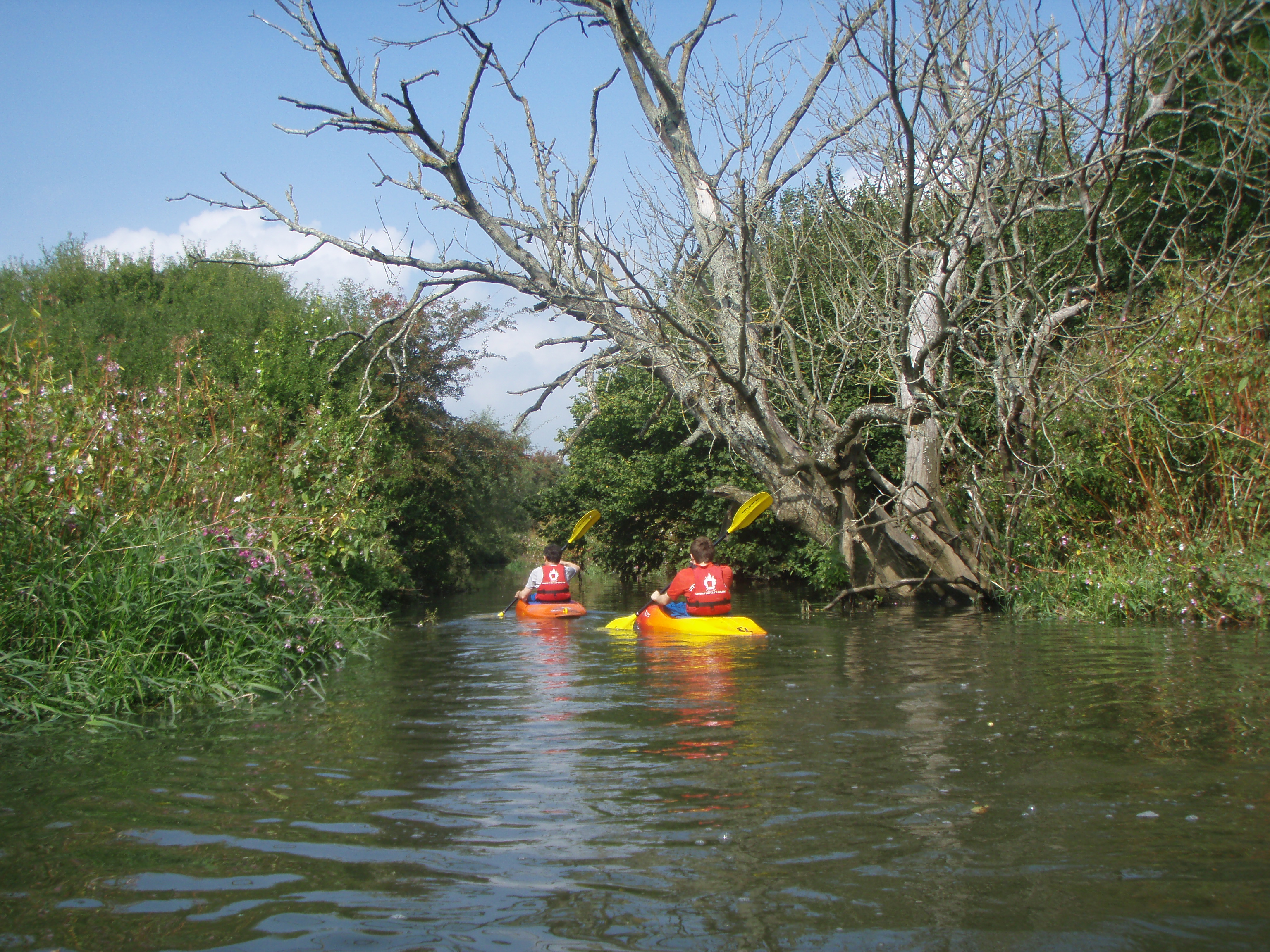 4 Hours Kayaking on the River Ouse