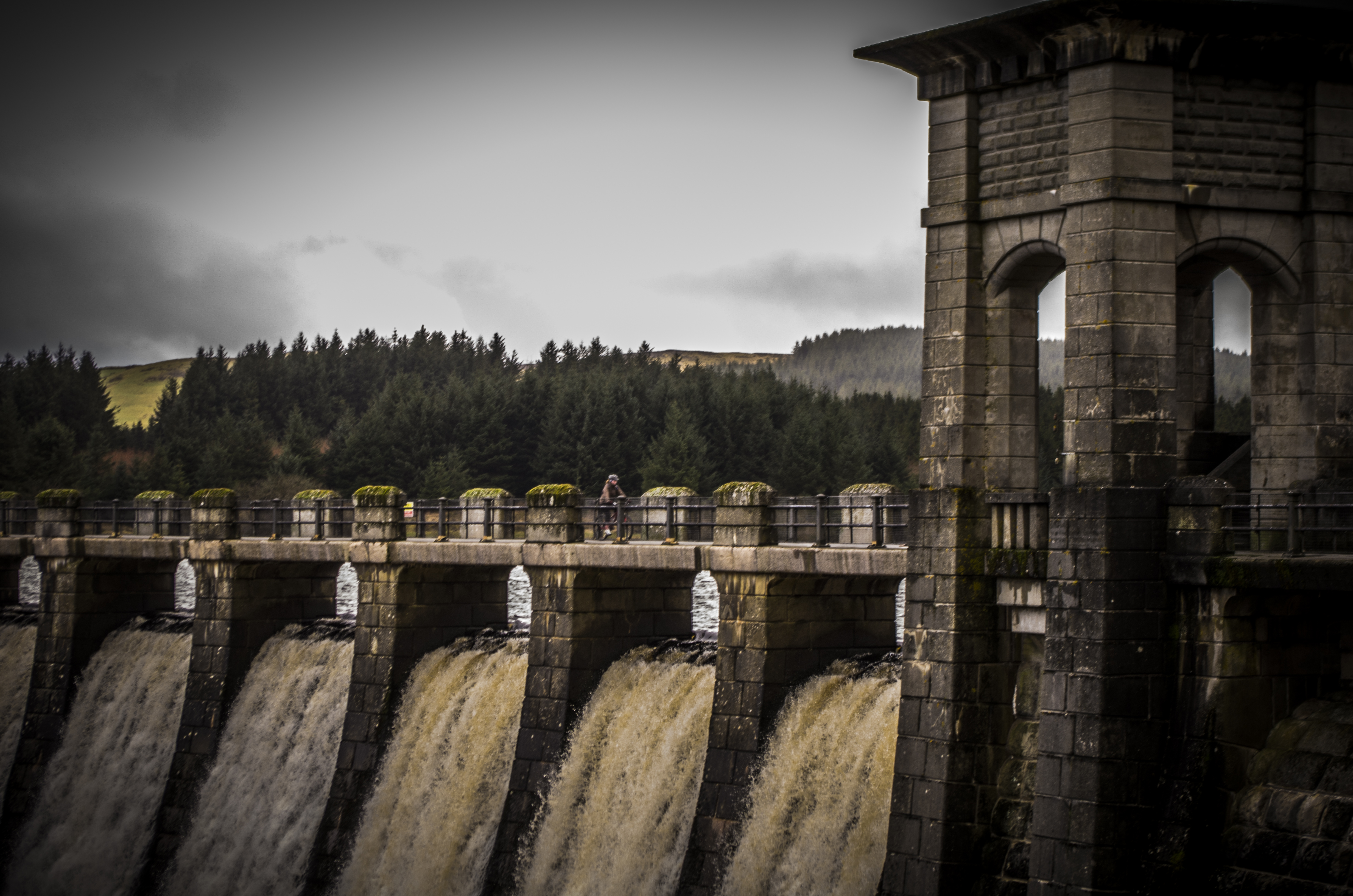 Cronfa Alwen and Isaf Fishing Permit 