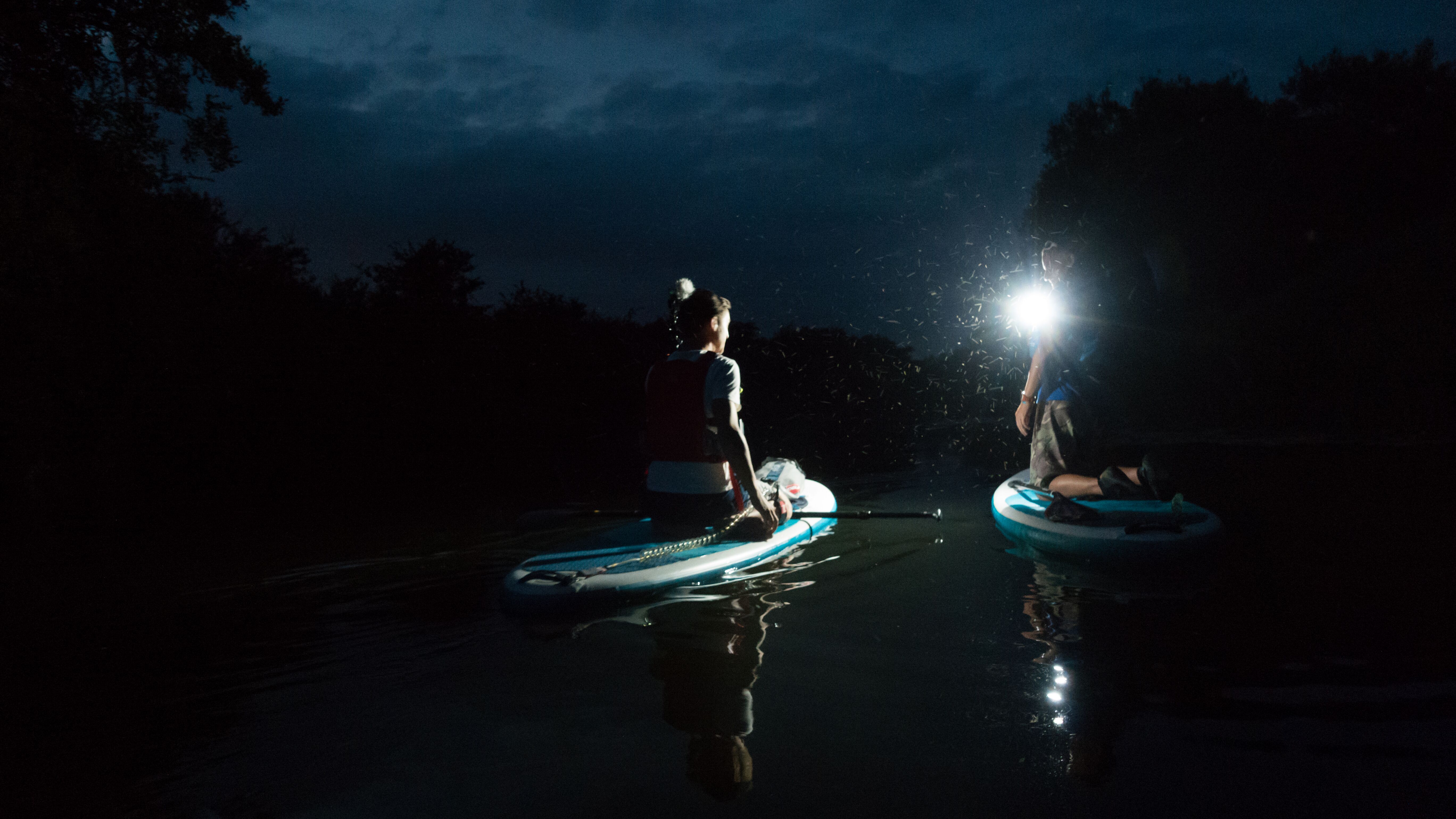 Bat Paddle SUP/Canoe
