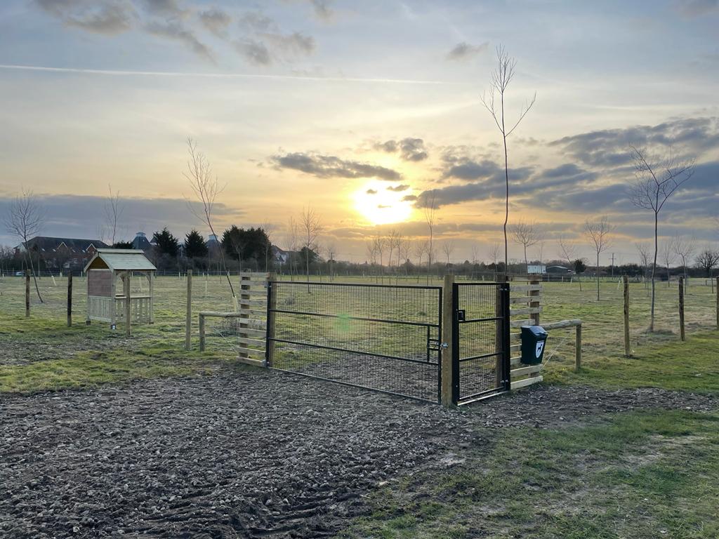 Chigborough Unleashed