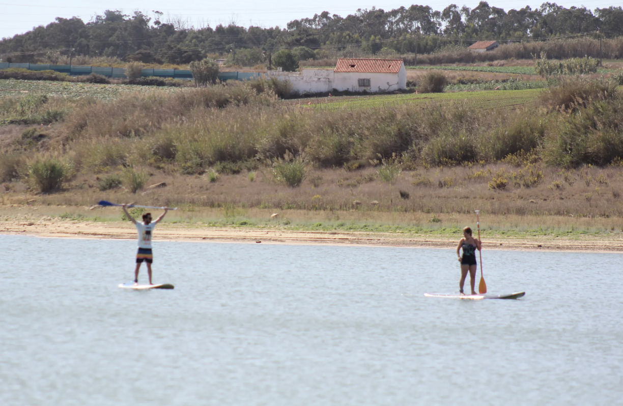 Stand Up Paddleboard Introduction