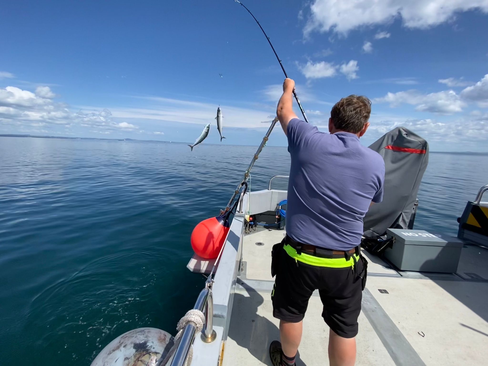 Mackerel Fishing