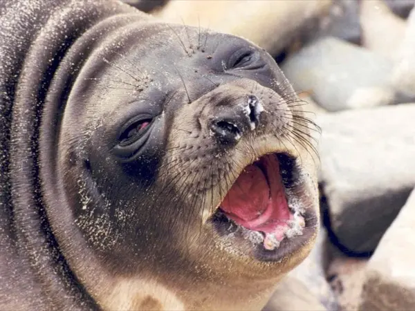 Kelp Point - Private Tour