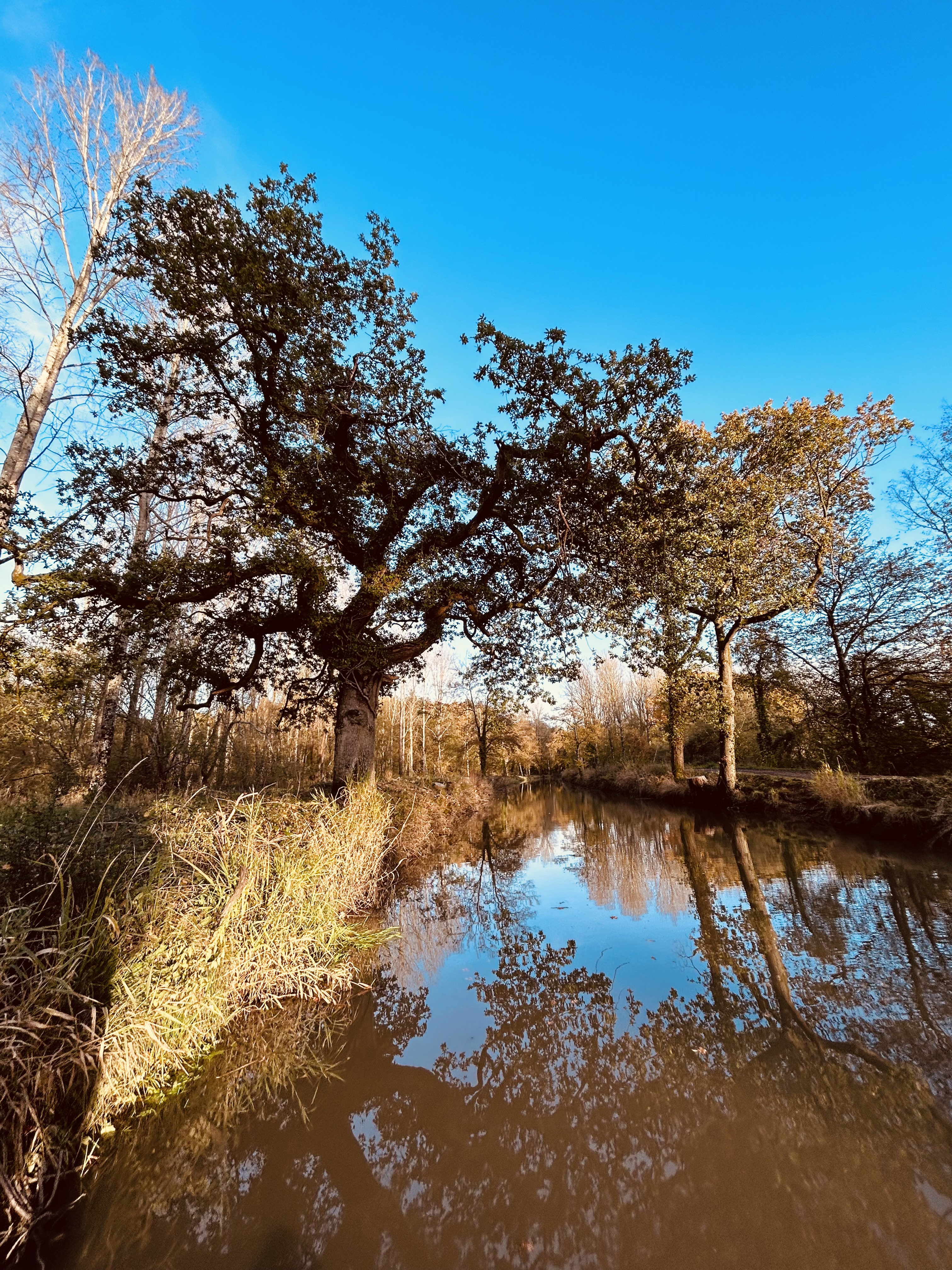 Arun & Wey Canal Trip - 01.03