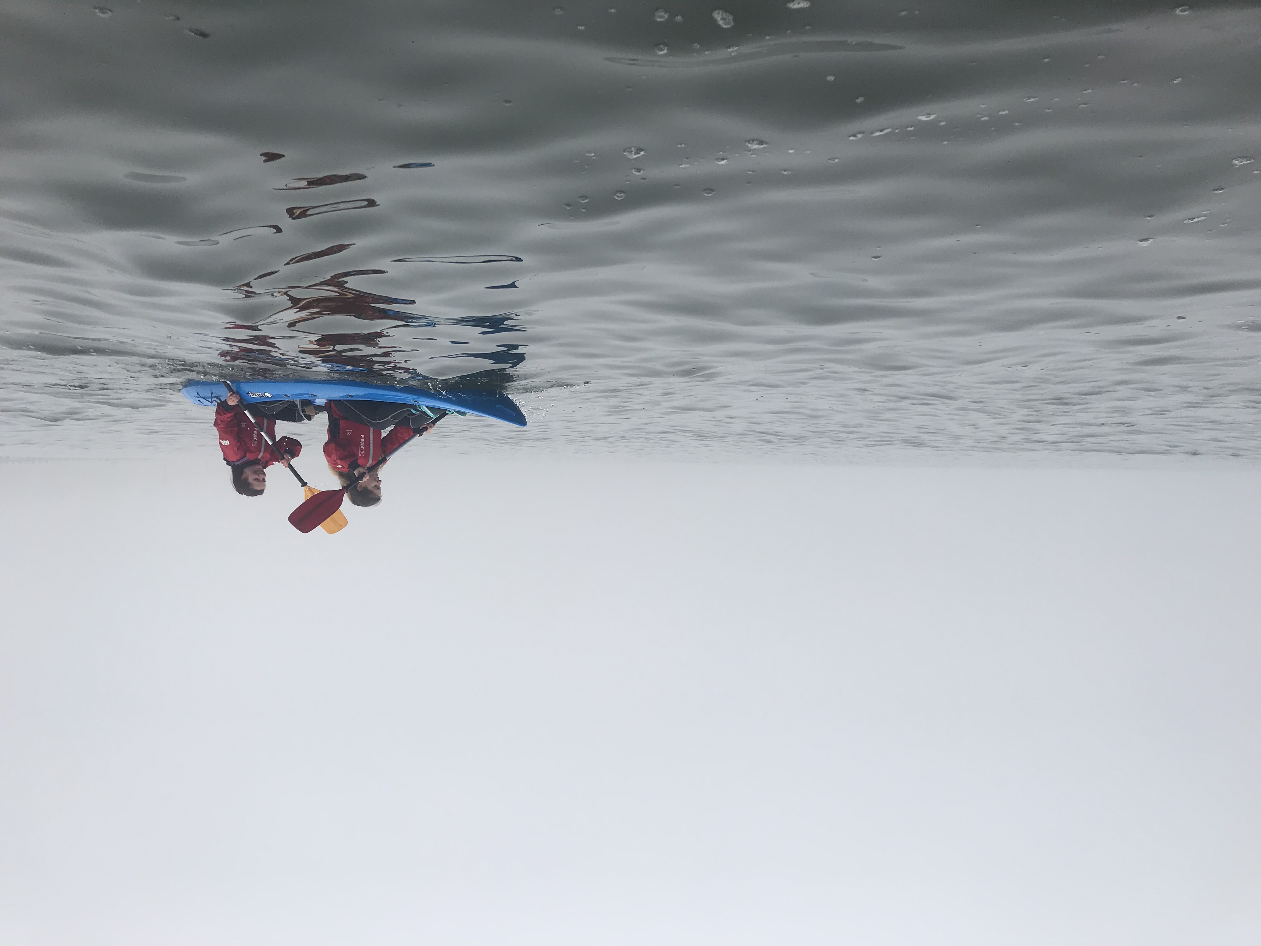 Inchcolm Island Tandem Kayaking Tour