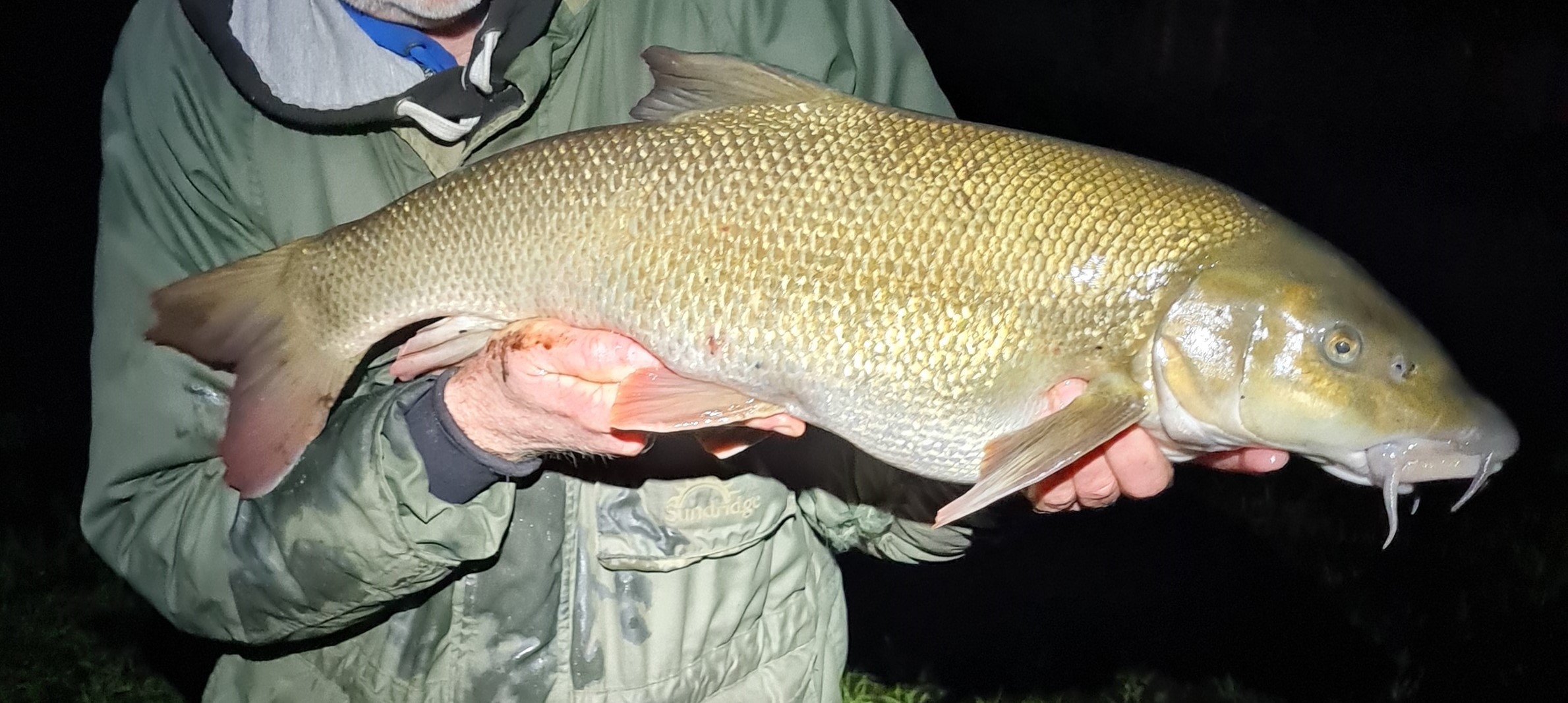 Adult Night Ticket - Jun 2026-Mar 2027