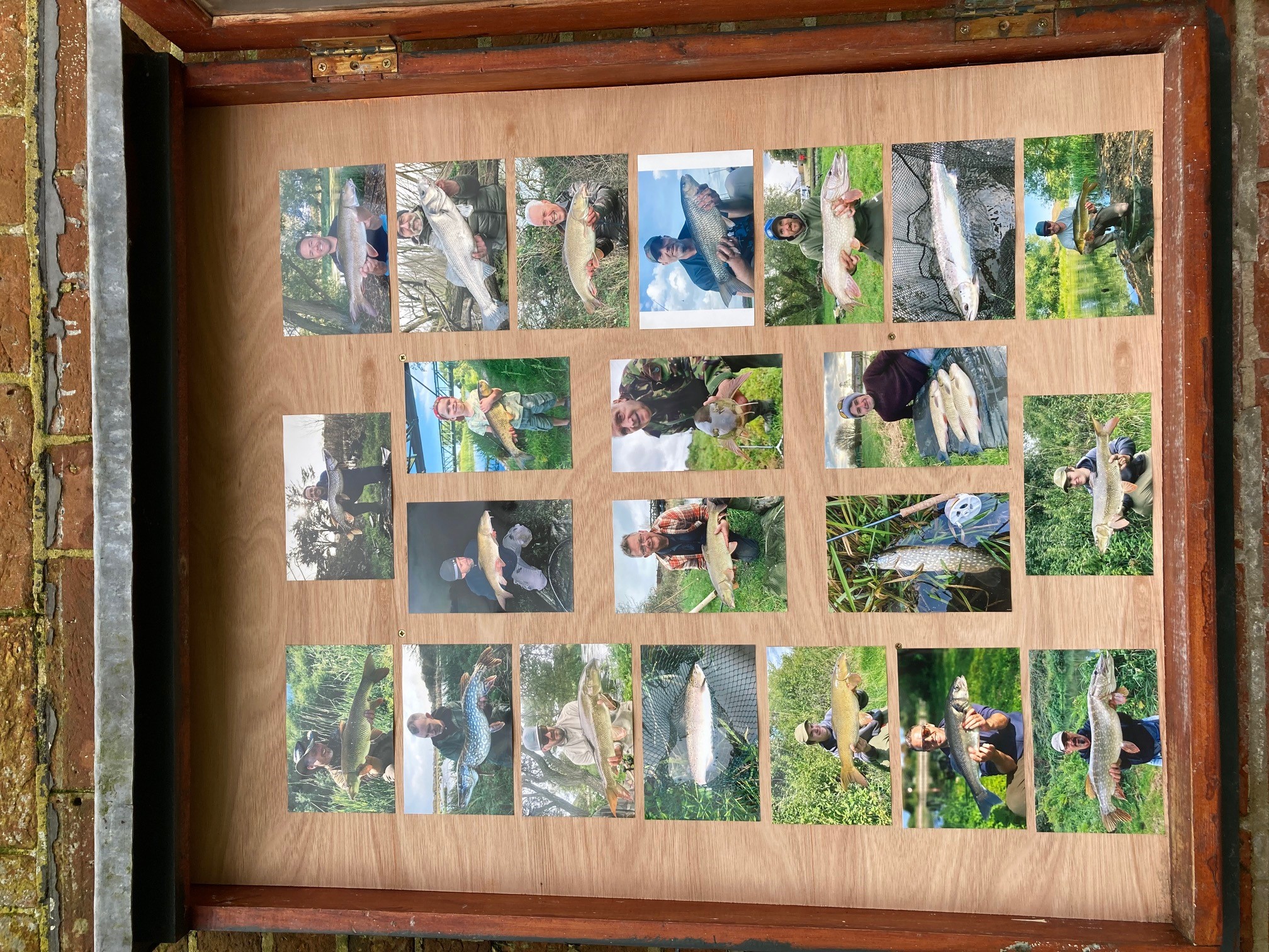 Concession Day - Dec 2025-Mar 2026