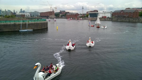 swan pedalos