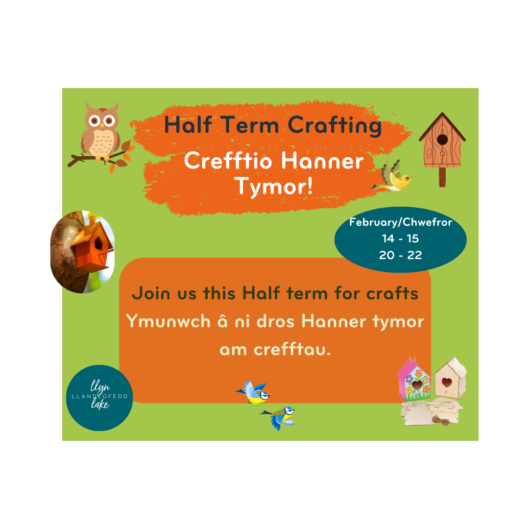 Half Term Crafts
