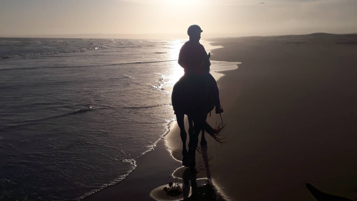2 Hour Beach Horse Trail (Advanced Riders)