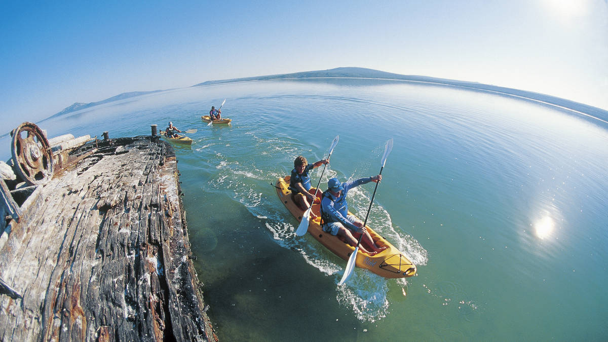 Langebaan Lagoon Explorer paddle incl. lunch - West Coast National Park