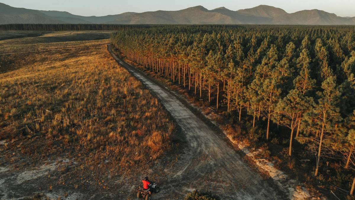 1 Hour Quad Bike Tour @ Misty Mountain Reserve