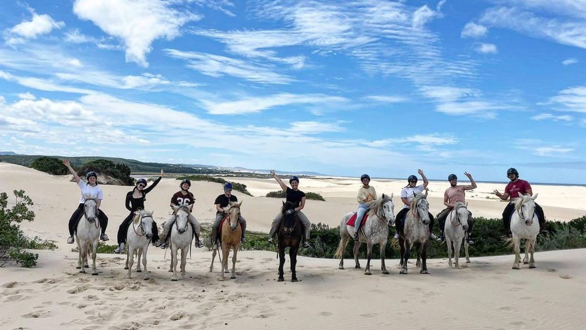 2 Hour Beach Horse Trail (Beginner Riders)