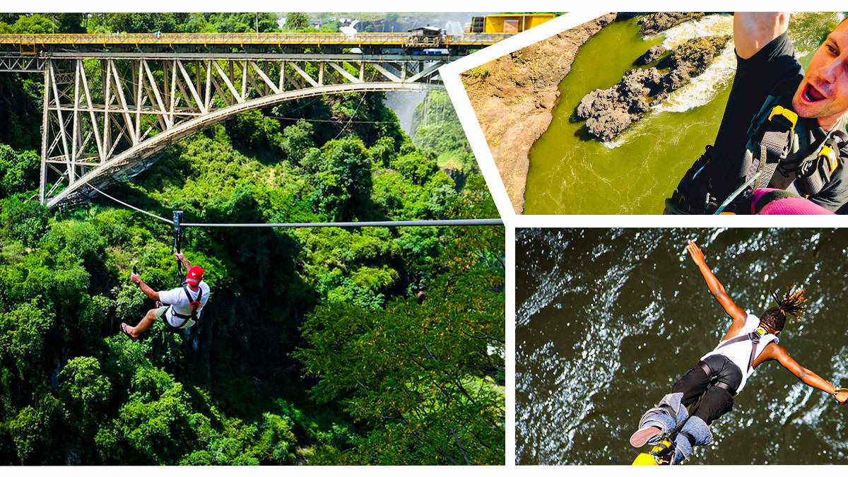 Big Air Experience - Bungee, Swing & Slide