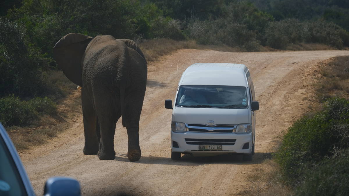 22-Day The Mzanzi Route