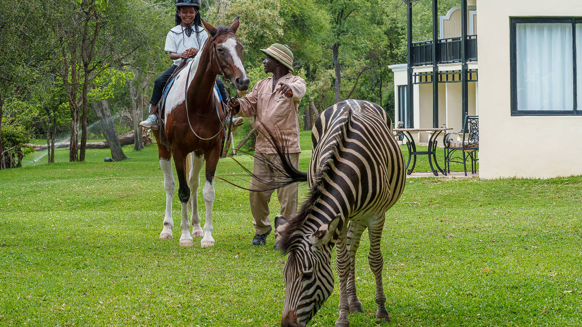 Half hour Children's Pony Rides