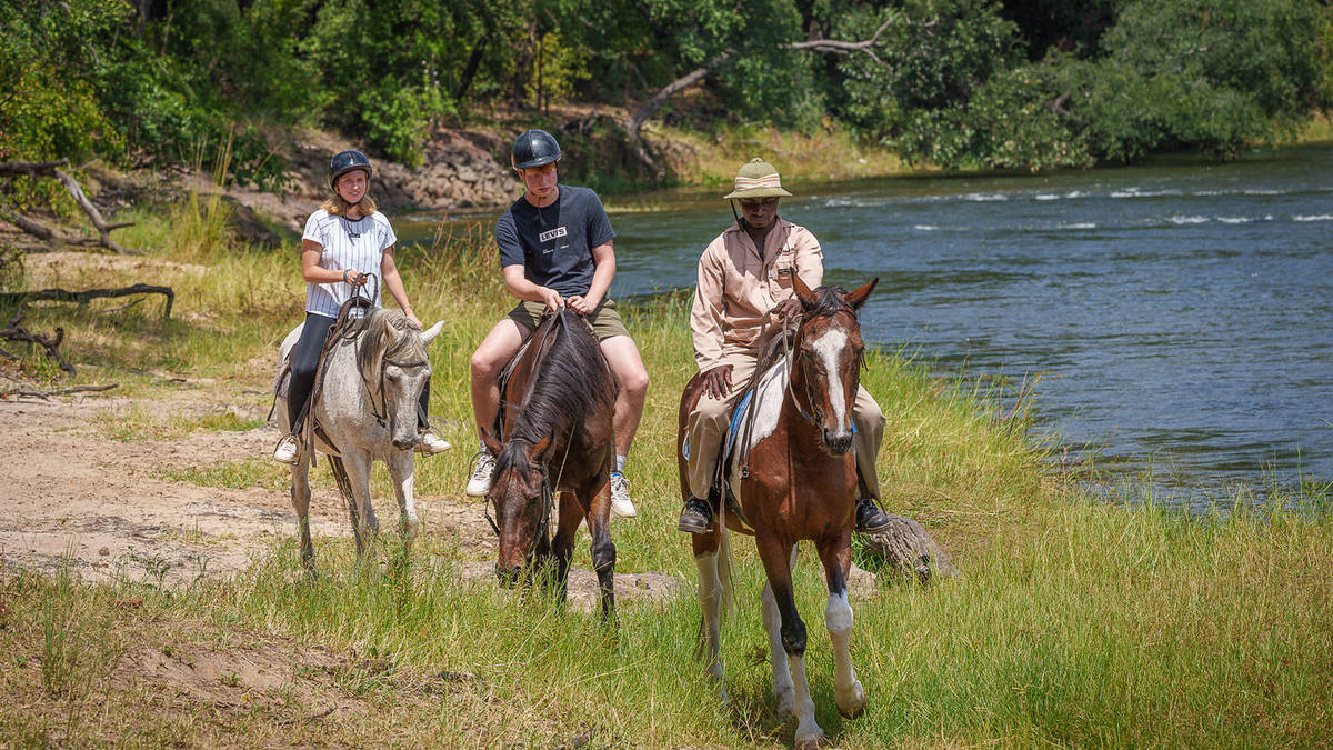 Horseback Trail (Half Day)