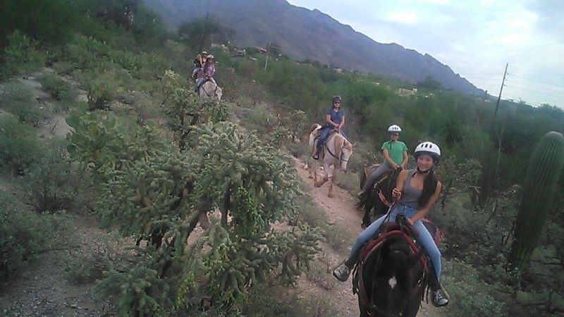 1 and 1/2 Hour Trail Ride - Saguaro Stables