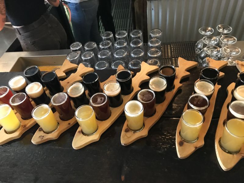 Edmonton Craft Brewery Tour