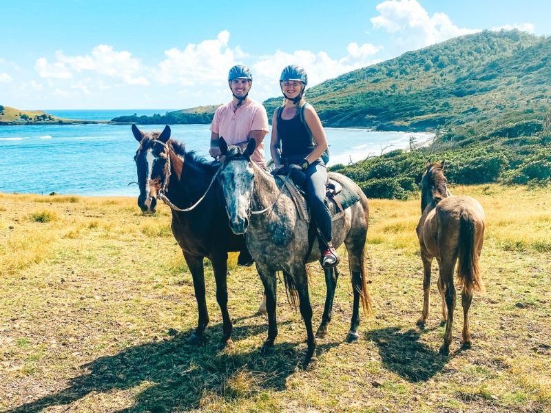 Private Picnic Horse Back Beach Ride